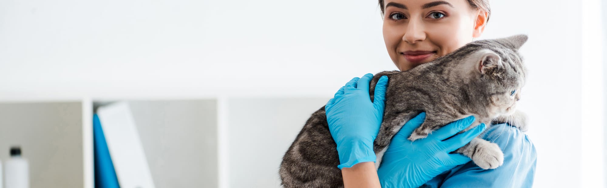 Veterinary Discover Liquid Payments